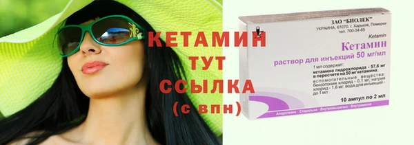 гашик Няндома