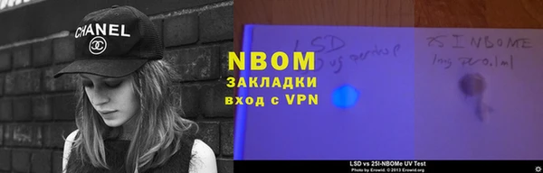 гашик Няндома