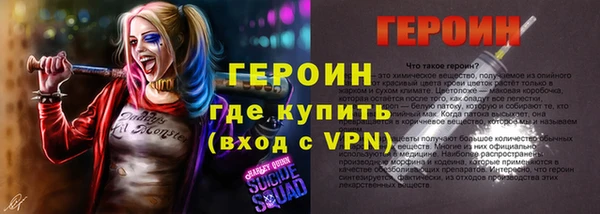 гашик Няндома