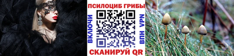 Галлюциногенные грибы ЛСД  Южа 