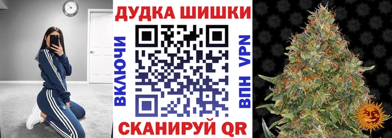 Бошки Шишки ГИДРОПОН Южа